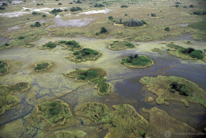 Botswana: Rains Drown Crops, Kill Livestock in Kgatleng Botswana: Rains Drown Crops, Kill Livestock in Kgatleng