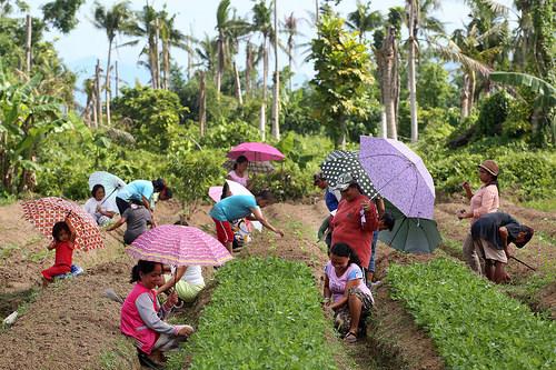 World Bank Group Convenes Developing Countries Seeking Improved Agribusiness Trade