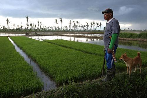 Haiti launches micro-finance catastrophe insurance program