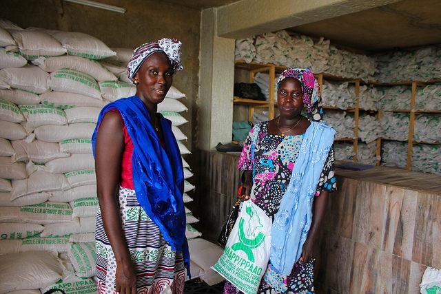 Agricultural Index Insurance Gains Momentum in Sub-Saharan Africa Agricultural Index Insurance Gains Momentum in Sub-Saharan Africa