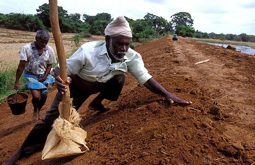 IFC, SANASA Insurance Contribute to Food Security in Sri Lanka through Weather Insurance