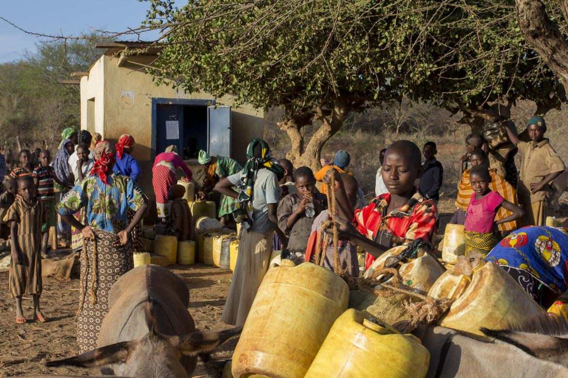 UC Davis Launches $1.4m Project to Help Kenya’s Rural Poor UC Davis Launches $1.4m Project to Help Kenya’s Rural Poor