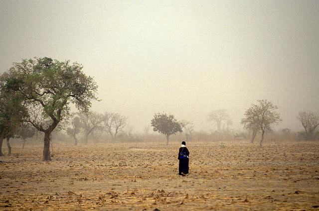 Innovative Microinsurance Protects Poor Farmers Against Climate Change Innovative Microinsurance Protects Poor Farmers Against Climate Change