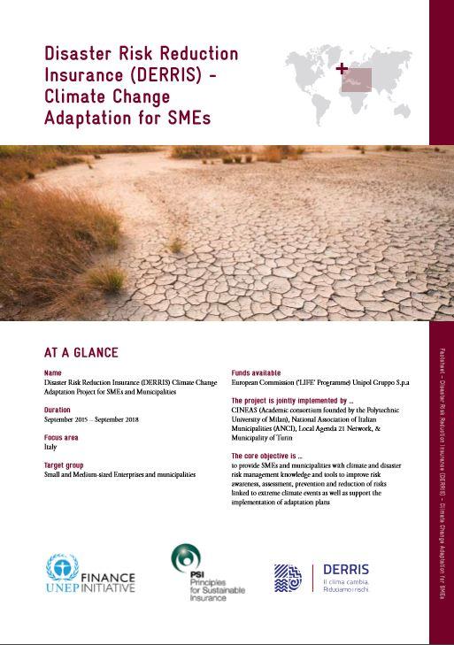 Disaster Risk Reduction Insurance (DERRIS) - Climate Change  Adaptation for SMEs