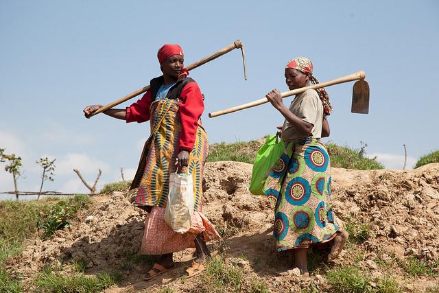 Credit: World Bank Group A New Risk Sharing Facility to Lower Premiums for Africa's Farmers