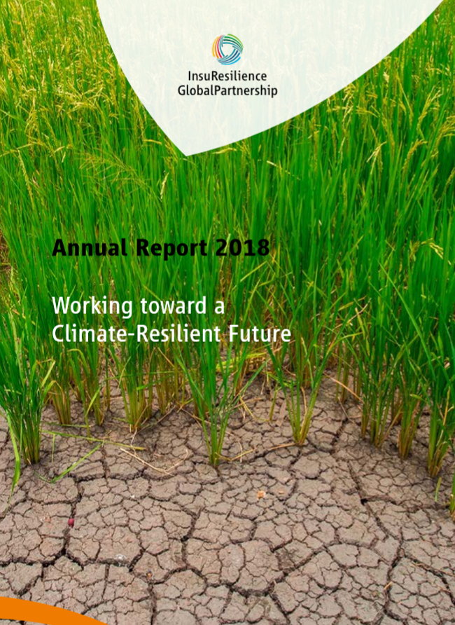 InsuResilience Annual Report 2018