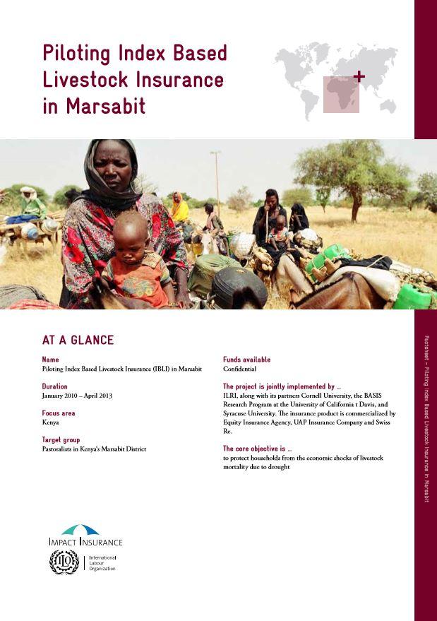 Piloting Index Based Livestock Insurance in Marsabit
