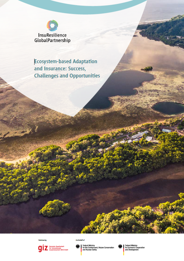 Ecosystem-based Adaptation and Insurance: Success, Challenges and Opportunities