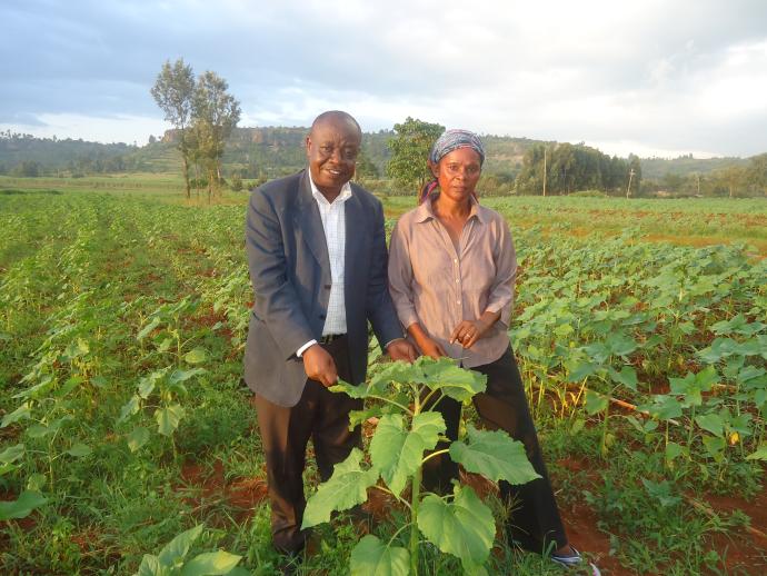 Edward and Pauline Mkopi, Trans Nzoia Farmers