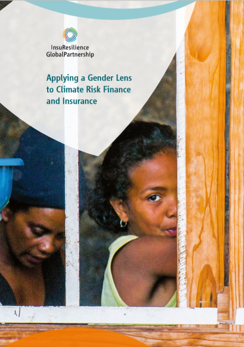 Applying a Gender Lens to Climate Risk Finance and Insurance
