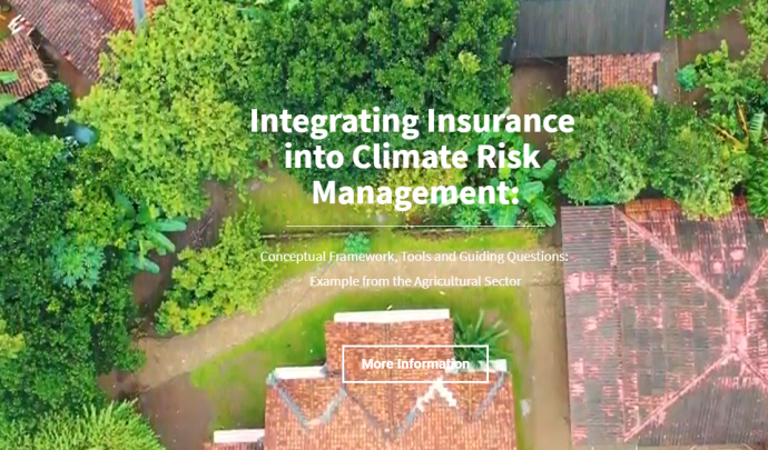 Integrating Insurance into Climate Risk Management: Conceptual Framework, Tools and Guiding Questions with Examples from the Agricultural Sector
