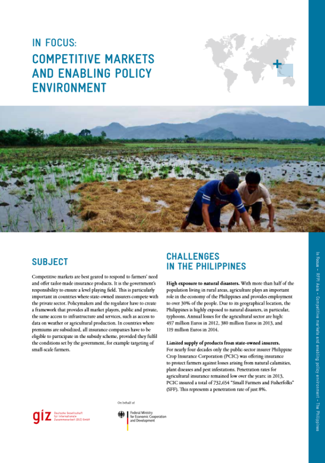 Philippines: Competitive Markets and Enabling Policy Environment