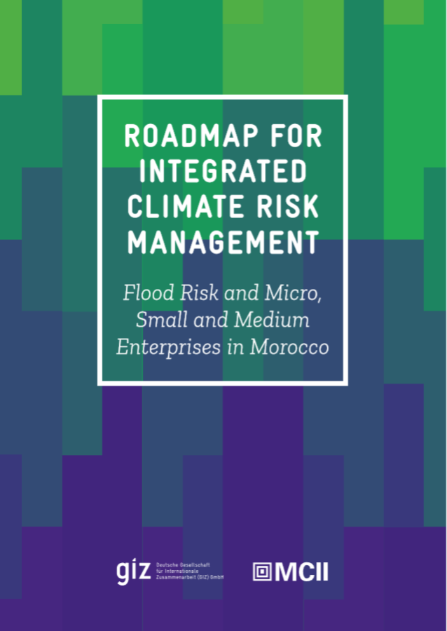 Roadmap for Integrated Climate Risk Management: Flood Risk and Micro, Small and Medium Enterprises in Morocco