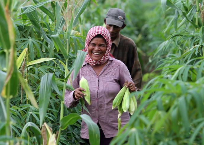 How to accelerate Financial Inclusion of Individuals Engaged in Agriculture? 