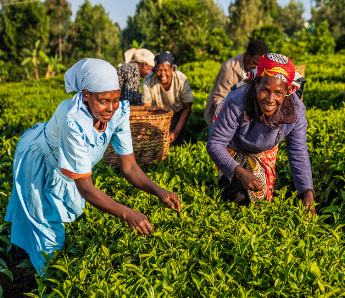 Driving Change: Promoting Women's Participation and Gender-Responsive Policies in the Insurance Industry.